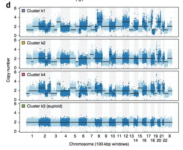 不使用微流控如何實現高通量測序單細胞基因組？